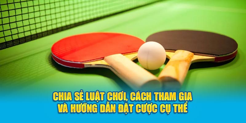 Tại Sao Nên Chọn Cá Cược Bóng Bàn Tại OK9?